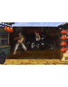 STREET FIGHTER IV EDICION COLECCIONISTA