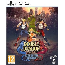 DOUBLE DRAGON GAIDEN:RISE OF THE DRAGONS